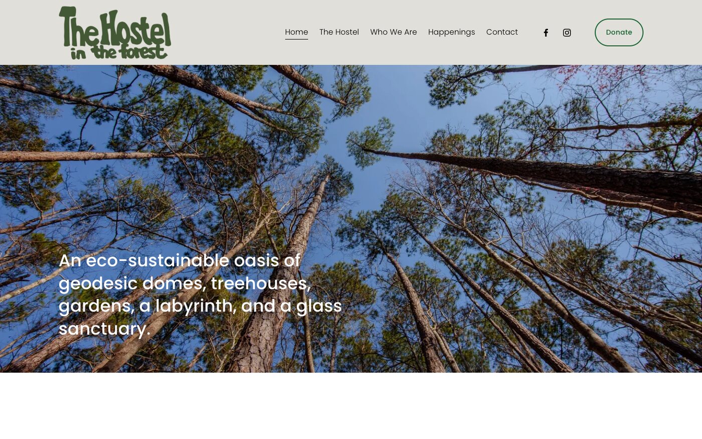 foresthostel.com homepage: looking up through tall pines, An eco-sustainable oasis of geodesic domes, treehouses, gardens, a labyrinth, and a glass sanctuary