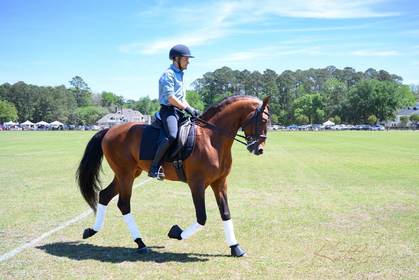 A rider showing a bay horse during the equestrian demonstrations